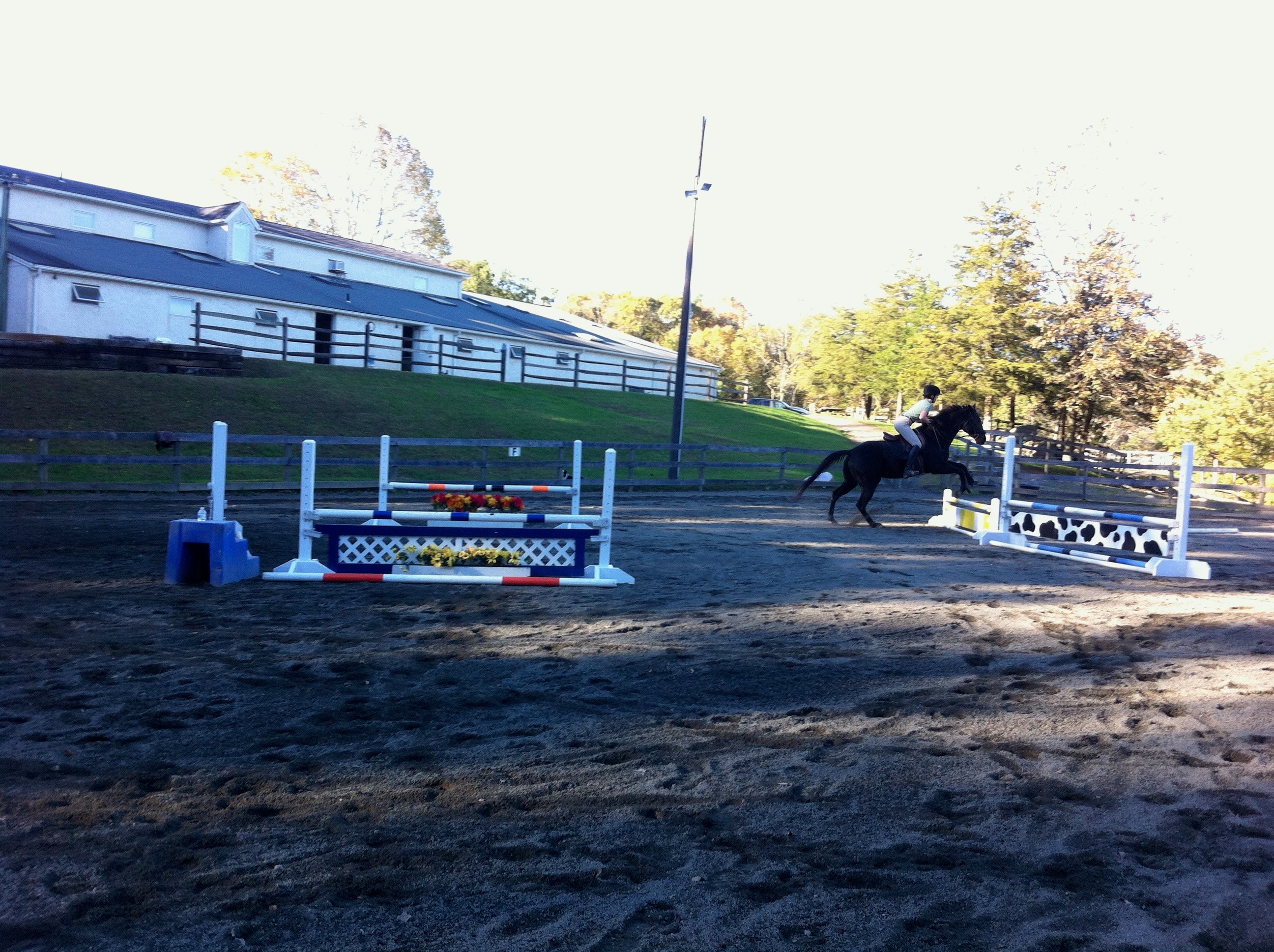 Rider on a black horse jumping in the outdoor ring