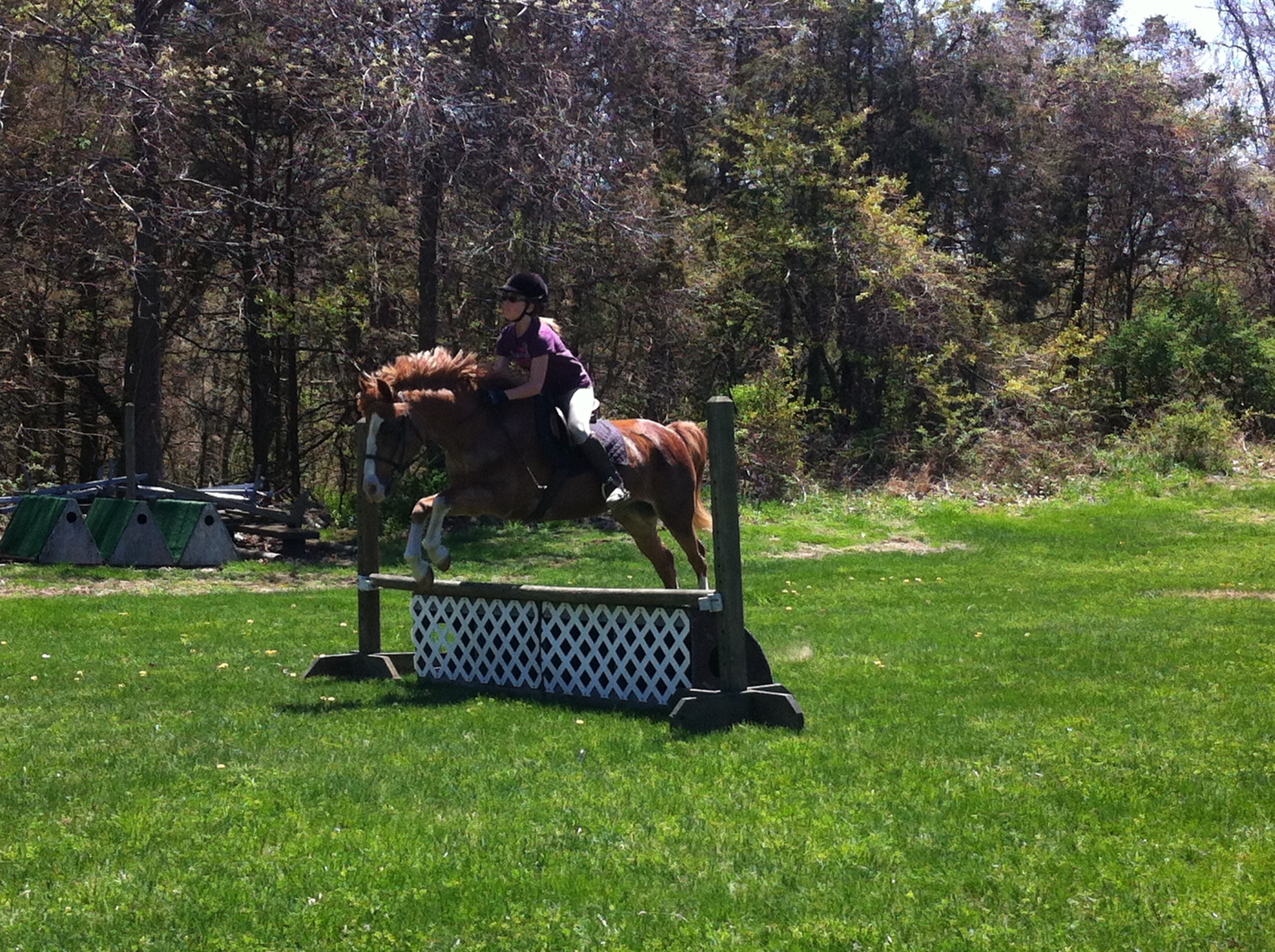 Rider on a chestnut horse jumping a cross-country fence