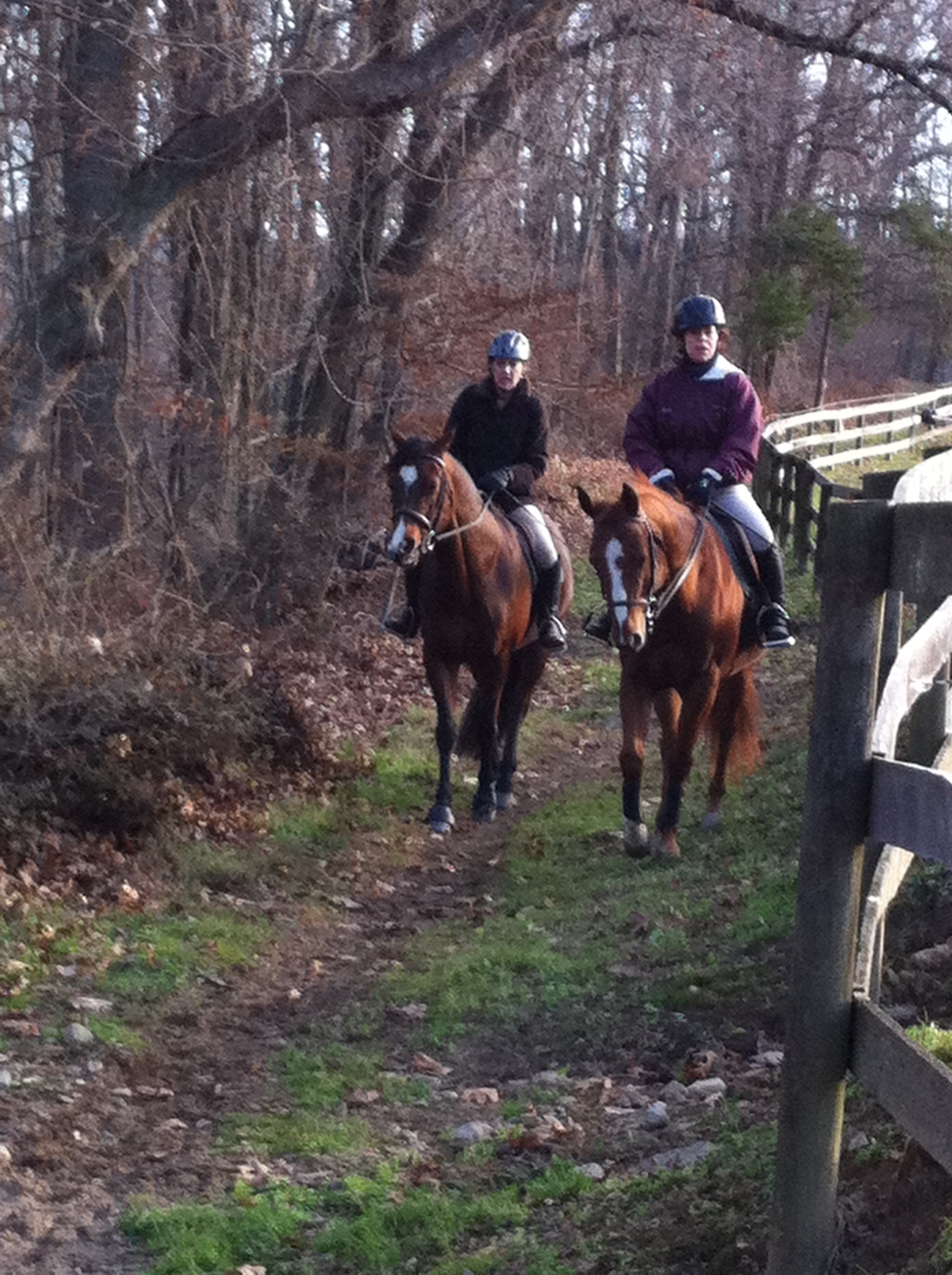 On-Property Trails