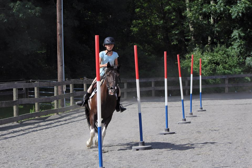 Rider working in Sunny Brook Farm outdoor arena