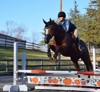 Horse and rider clearing an obstacle
